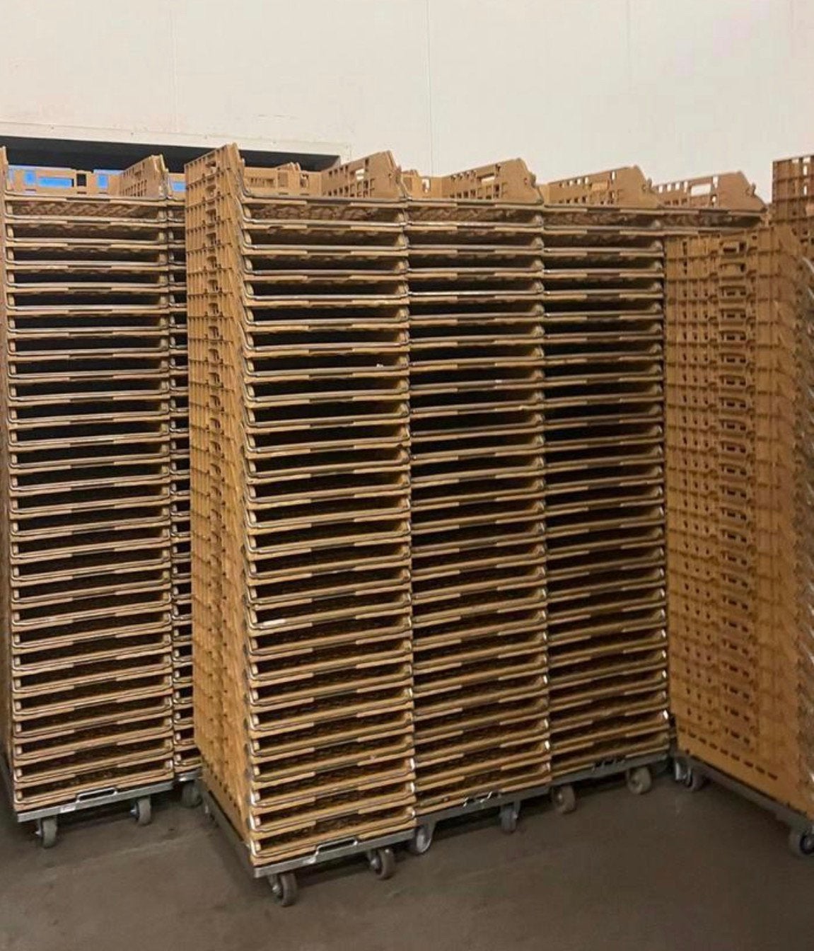 400 Broodkratten/brobankratten/bakkerijkratten/dolly’s, Doos, 100 cm of meer, 60 cm of meer, Minder dan 35 cm