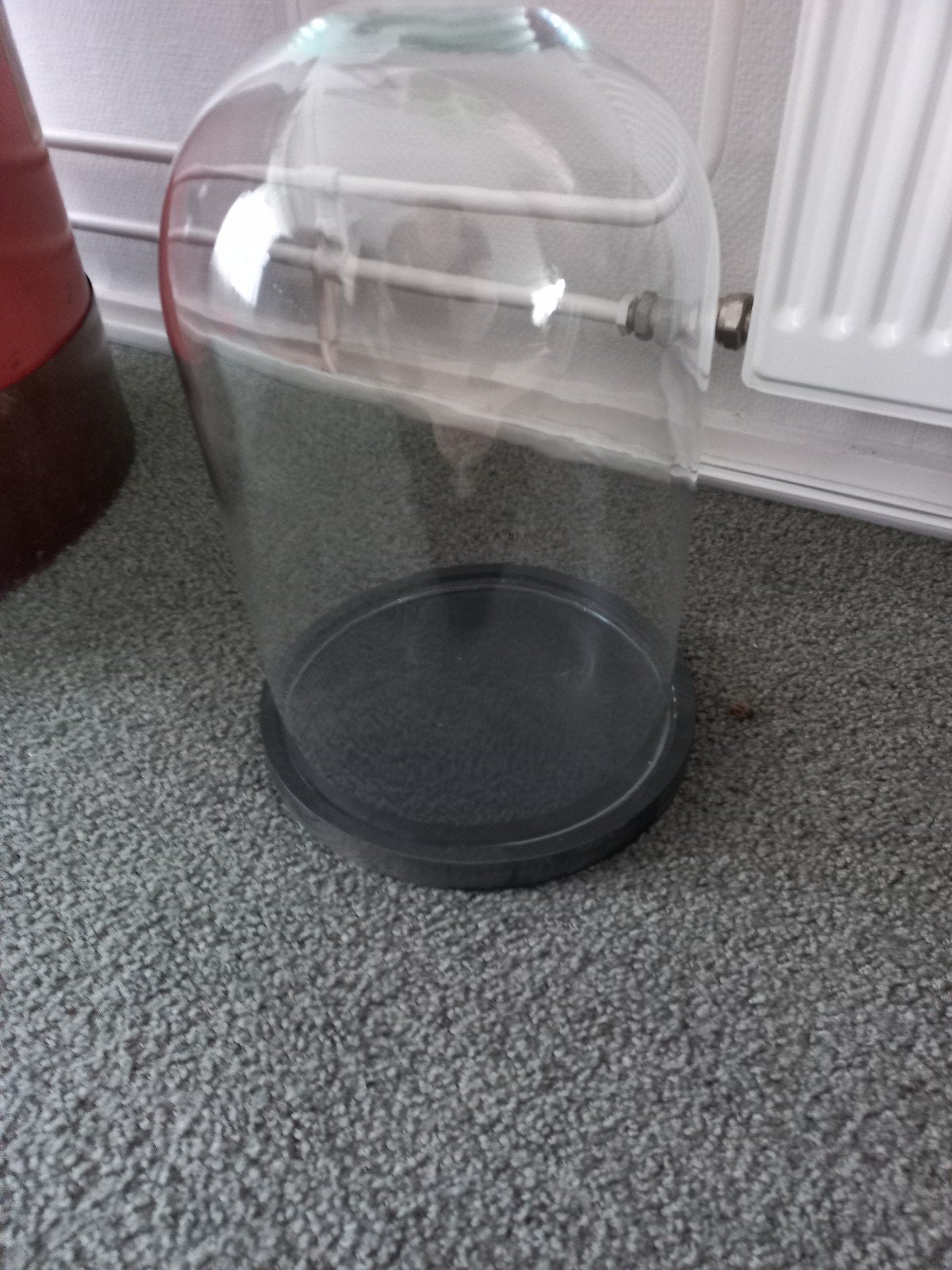 Glazen stolp met zwarte voet, Ophalen, Zwart, Zo goed als nieuw, Modern
