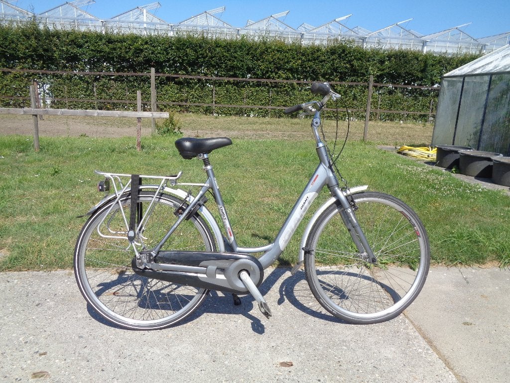 Giant Twist Lite dames toerfiets -7 versn./56 frame/28 inch-, Ophalen, Velgrem, Giant, Minder dan 10 versnellingen