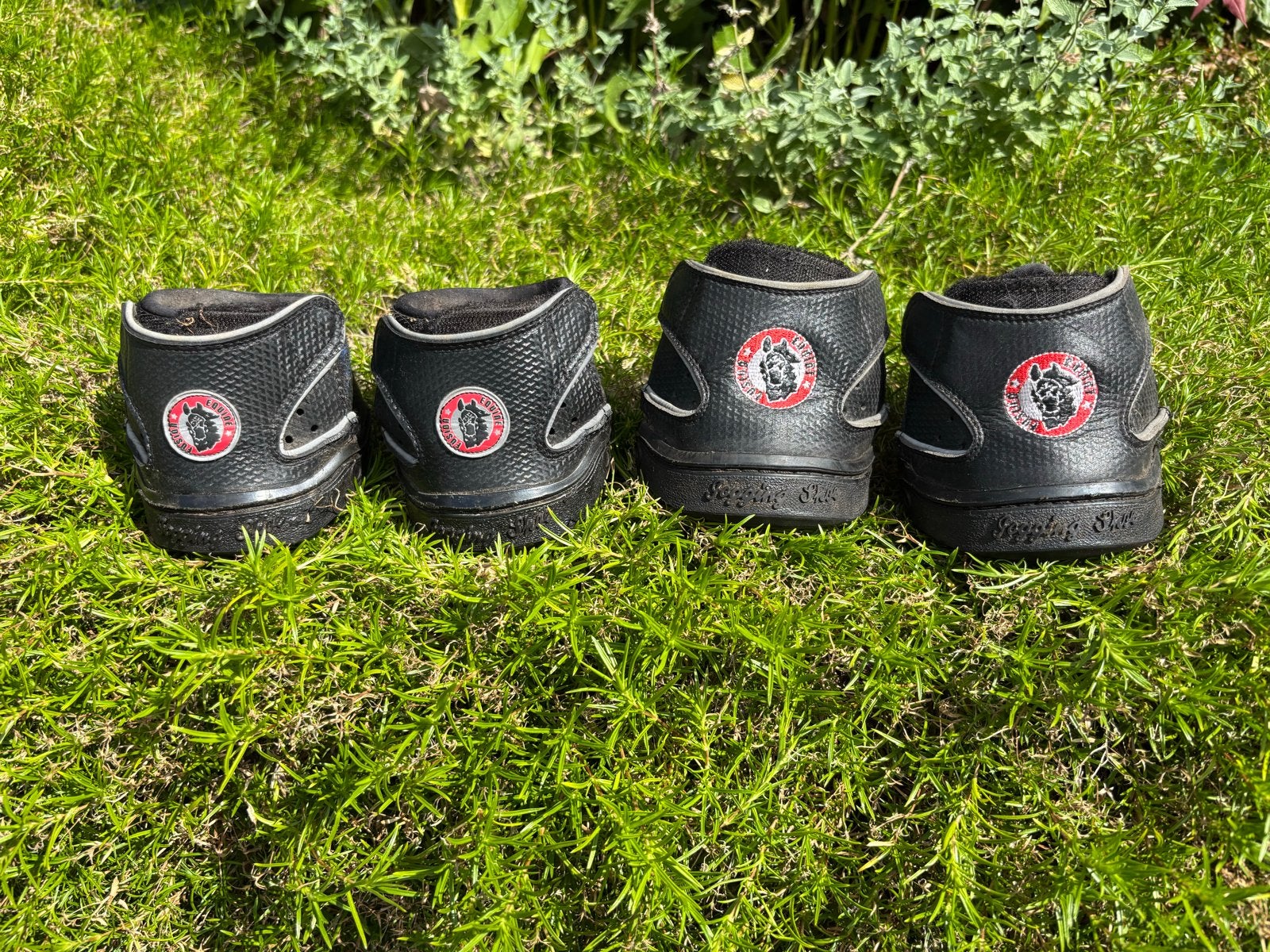 Hoefschoenen Fusion, Ophalen of Verzenden, Gebruikt, Recreatie