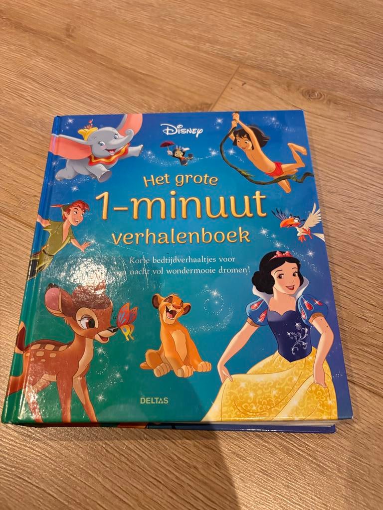 Disney Het Grote 1-Minuut Verhalenboek, Boeken, Ophalen, Zo goed als nieuw, Sprookjes