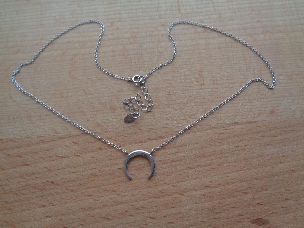 zilveren ketting met hoefijzer hanger [083], Met hanger, Verzenden, Zo goed als nieuw, Zilver