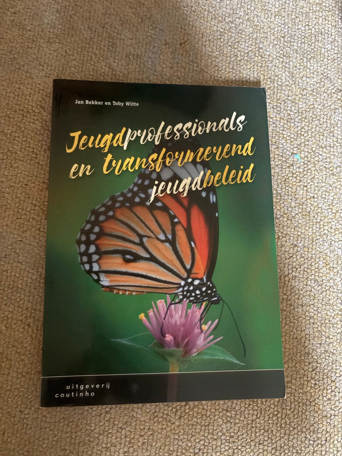 Pedagogiek boeken NHL Stenden - Diverse titels, Boeken, Ophalen of Verzenden, Gamma, Gelezen, HBO