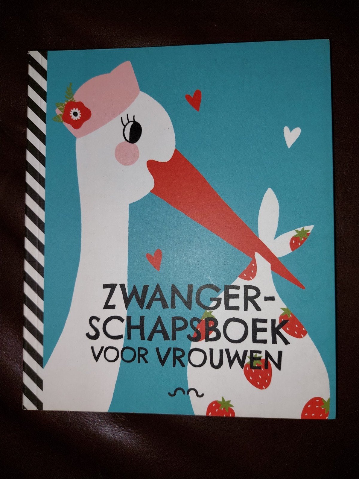 Zwangerschapsboek voor Vrouwen - Gerard Janssen, Boeken, Ophalen of Verzenden, Zo goed als nieuw, Zwangerschap en Bevalling, Gerard Janssen