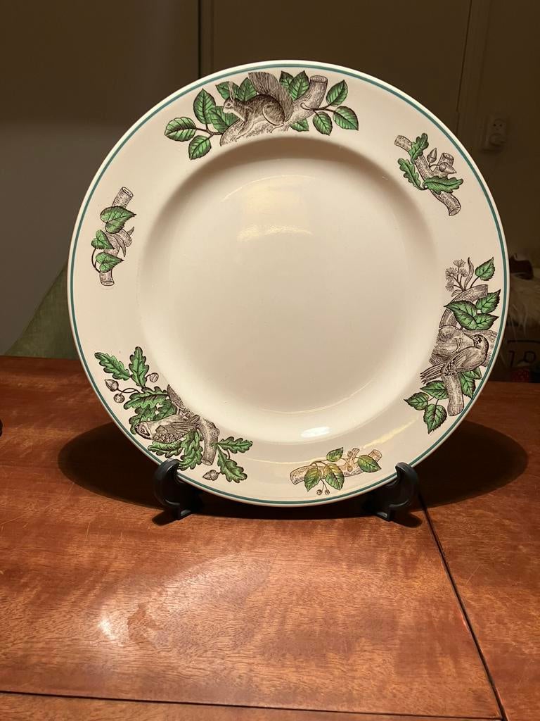 Zeldzaam  bord wedgwood Etruria England eekhoorn uil specht, Ophalen of Verzenden