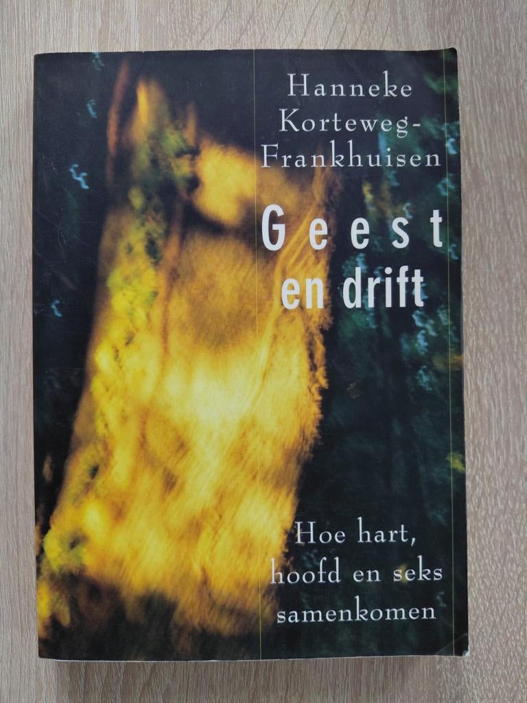 Hanneke Korteweg-Frankhuisen - Geest & Drift, Boeken, Ophalen of Verzenden, Zo goed als nieuw, Hanneke Korteweg-Frankhuisen