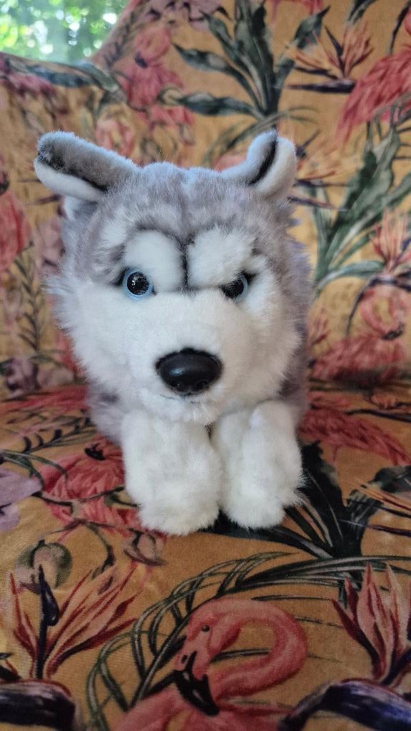 Husky knuffeltje, Overige karakters, Grijs, Zo goed als nieuw, Klein (minder dan 20 cm)