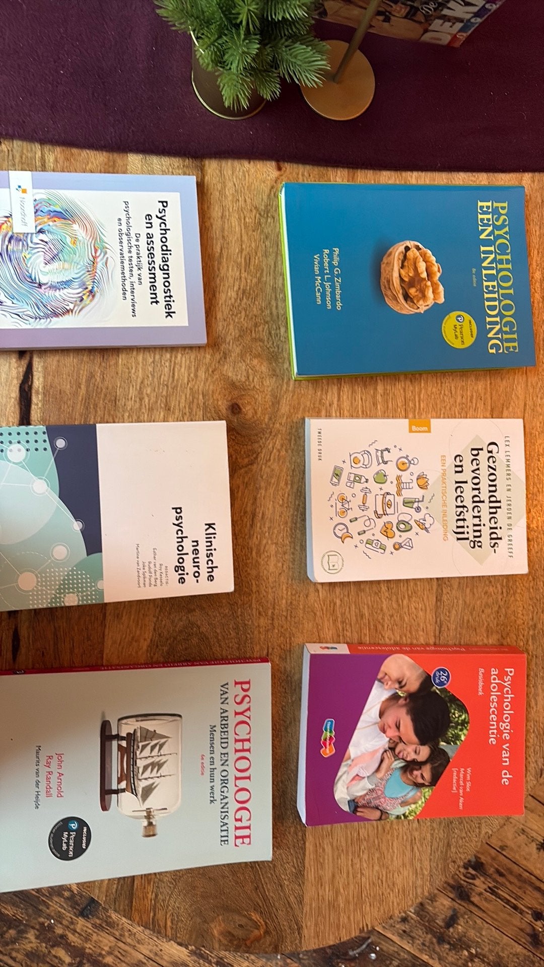 Boeken Toegepaste Psychologie, Boeken, Esoterie en Spiritualiteit, Ophalen of Verzenden, Zo goed als nieuw, Overige onderwerpen