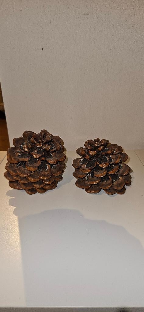 2 grotere sierdennenappels voor maar € 1,00 samen, Ophalen of Verzenden, Zo goed als nieuw