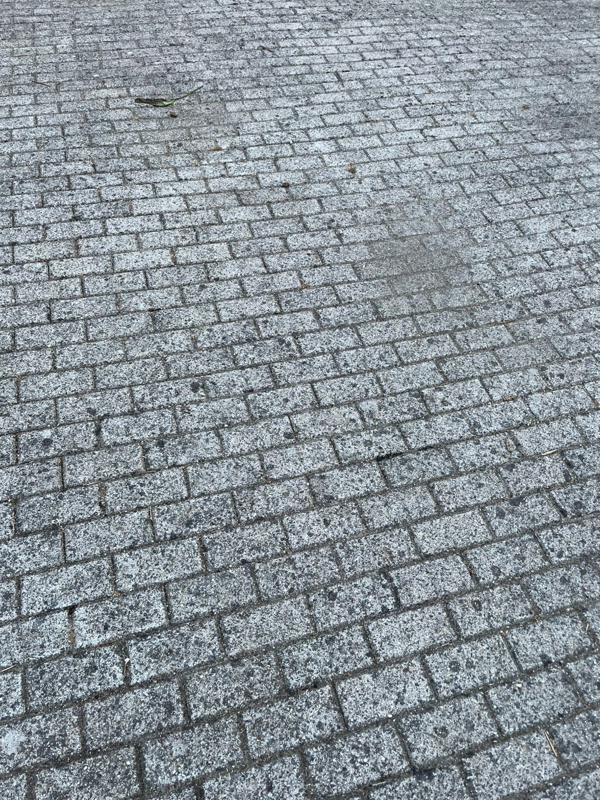 150 m2 Grijze beton klinkers, Ophalen, Klinkers, Zo goed als nieuw, Beton
