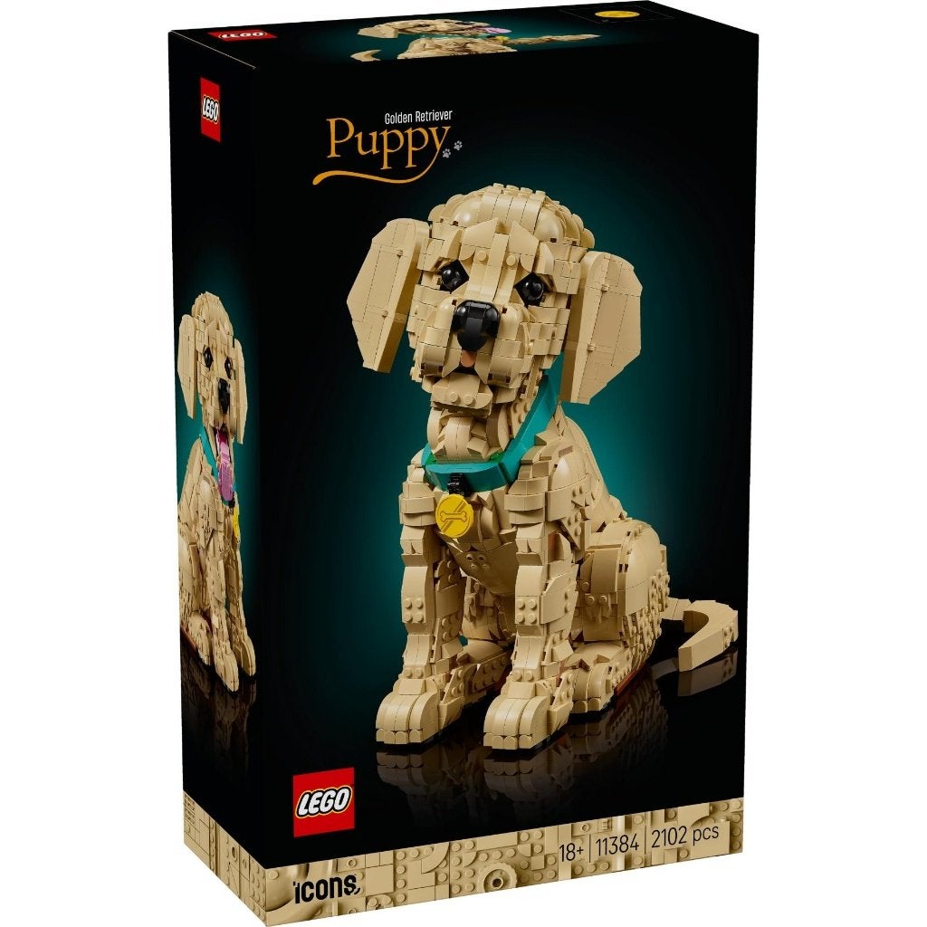 Lego Icons 11384 Golden retriever puppy NIEUW in Doos, Lego, Lego, Nieuw, ReijnenTrading@outlook.com
