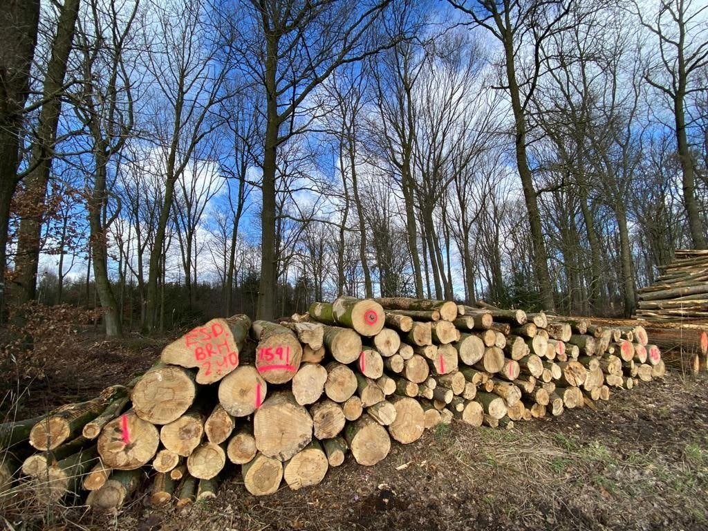 Brandhout rondhout diverse afmetingen en houtsoorten, Tuin en Terras, 6 m³ of meer, Ophalen, Stammen