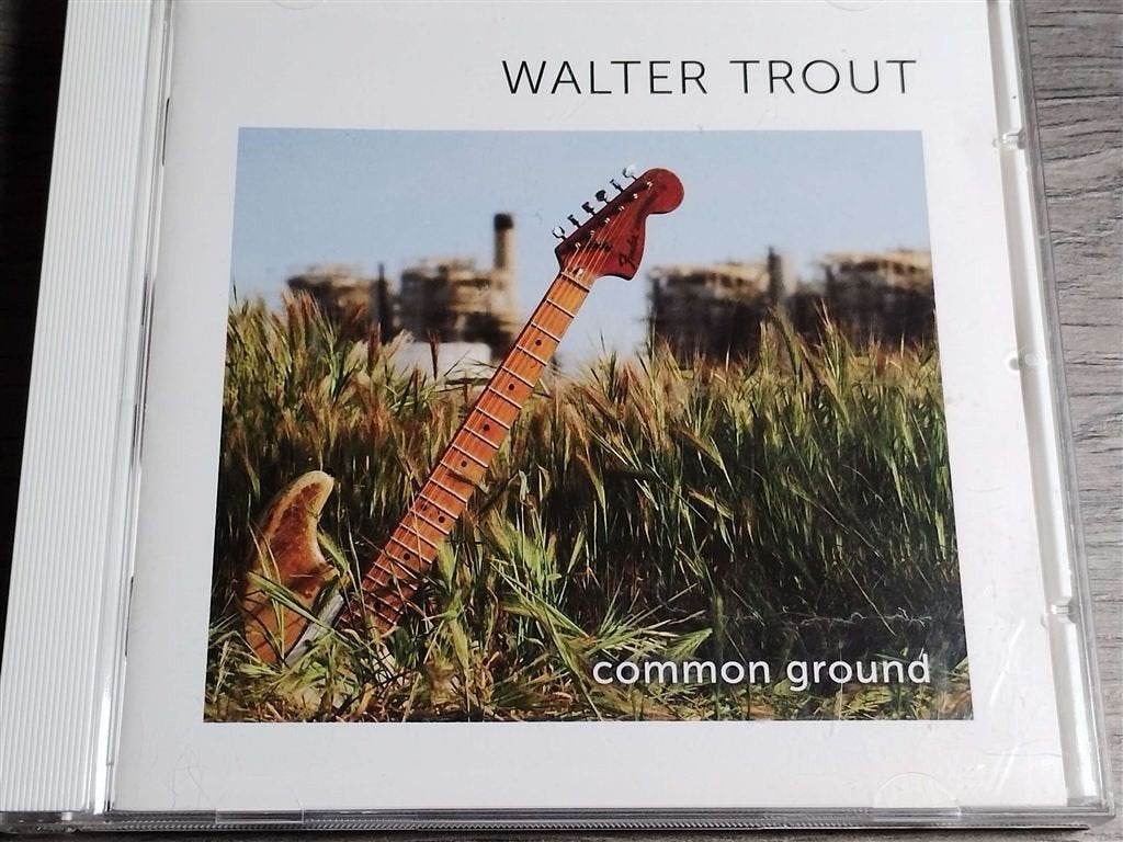 Walter Trout ‎– Common Ground, Ophalen of Verzenden, Zo goed als nieuw, Jazz