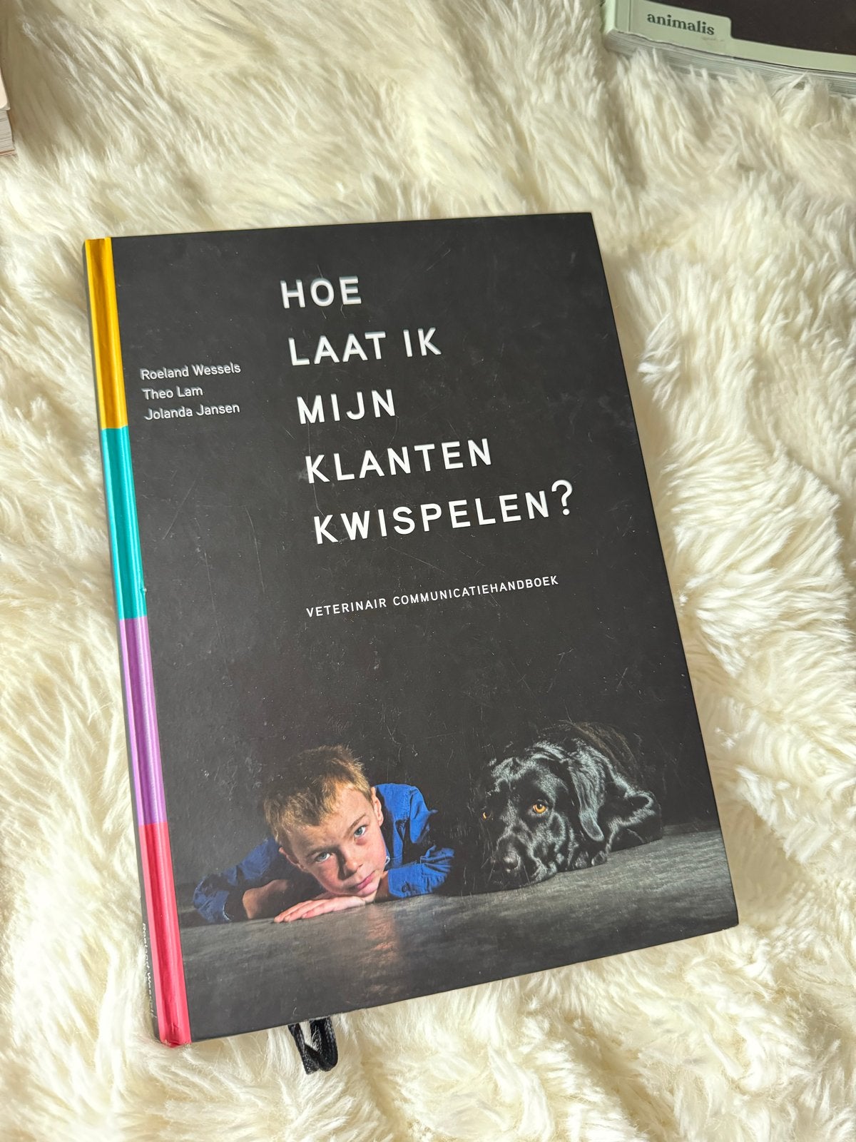 Hoe laat ik mijn klanten kwispelen?, Boeken, Ophalen of Verzenden, Beta, Zo goed als nieuw, MBO
