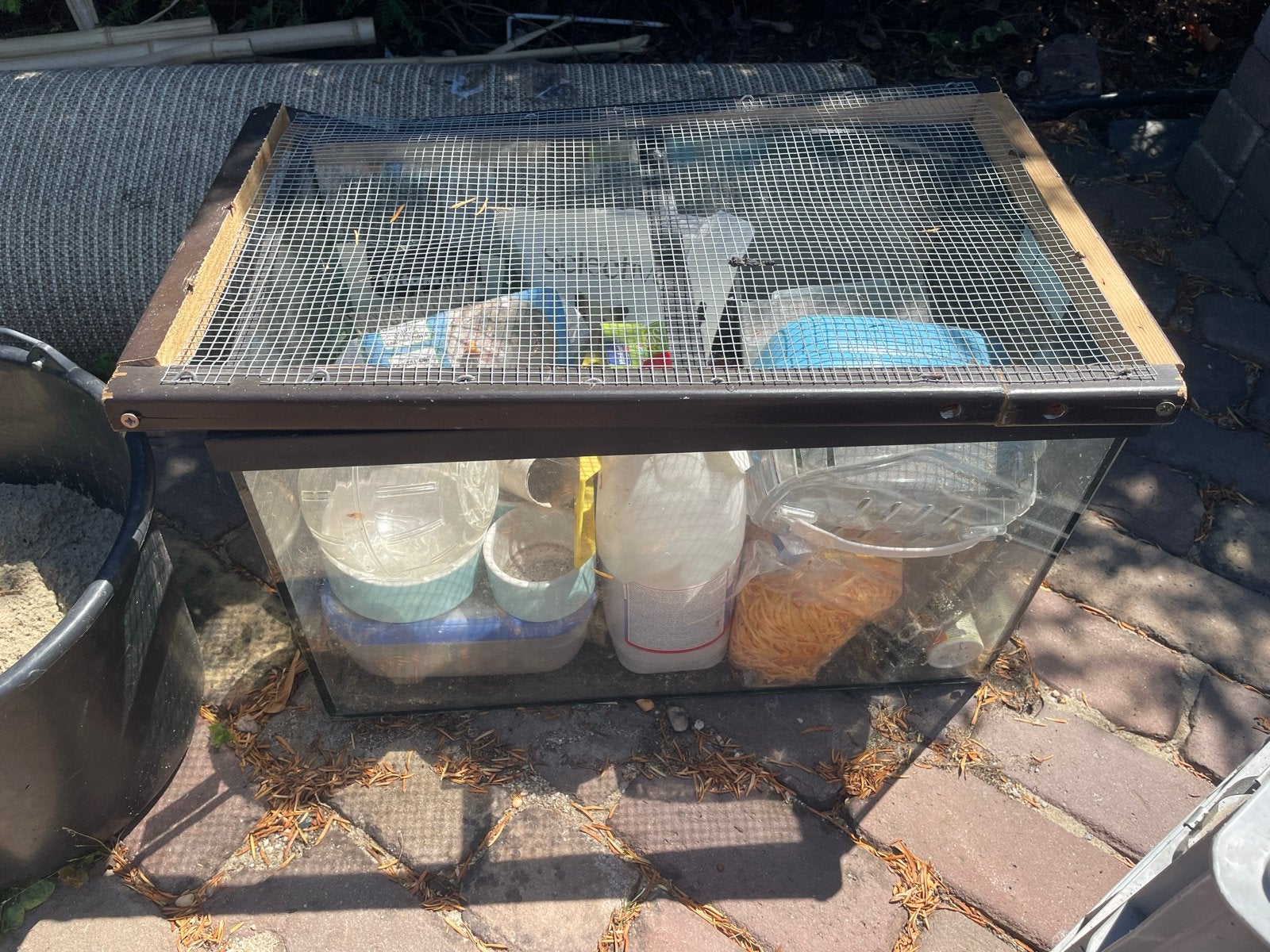 Hamsterkooi met spullen, Dieren en Toebehoren, Kooi, Gebruikt, Minder dan 75 cm, Hamster
