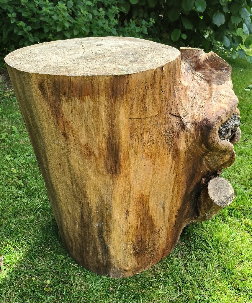 Boomstam eiken hout 46 cm dik, 65 cm hoog, Ophalen, Minder dan 25 mm, Eiken, Overige typen