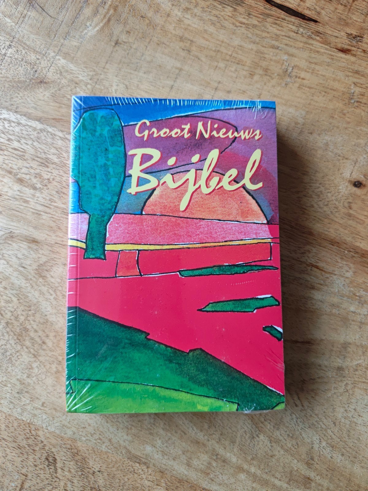 Groot Nieuws Bijbel - Bijbelvertaling in hedendaags NL, Ophalen of Verzenden, Nieuw, Het Nederlands Bijbelgenootschap, Christendom | Katholiek