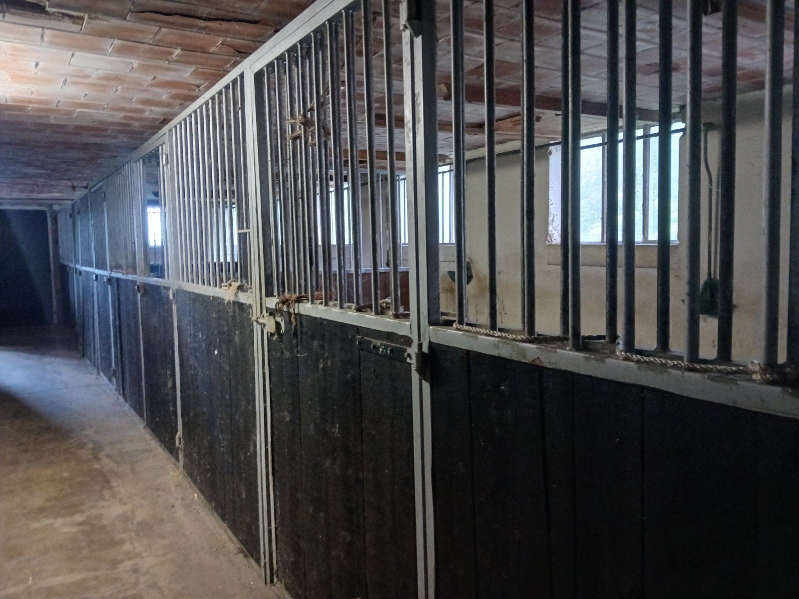 5 gebruikte paardenboxen te koop, Dieren en Toebehoren