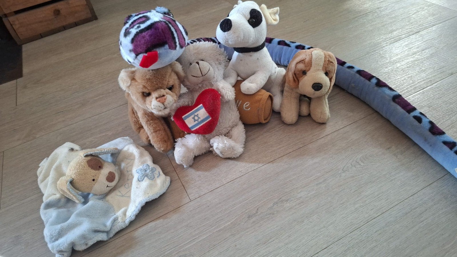 Diverse knuffels en knuffeldoekje, Ophalen, Gebruikt, Hond, Middelgroot (20 tot 80 cm)