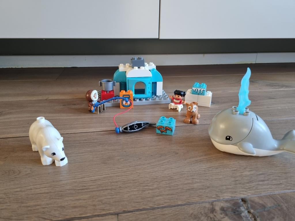 Lego Duplo Noordpool set 10803 met dieren en iglo, Inclusief minifiguren, Gebruikt, Overige thema's, Ophalen of Verzenden
