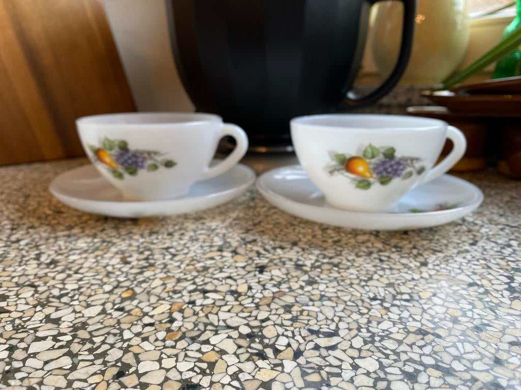 Vintage Arcopal France Kop en Schotel, Ophalen