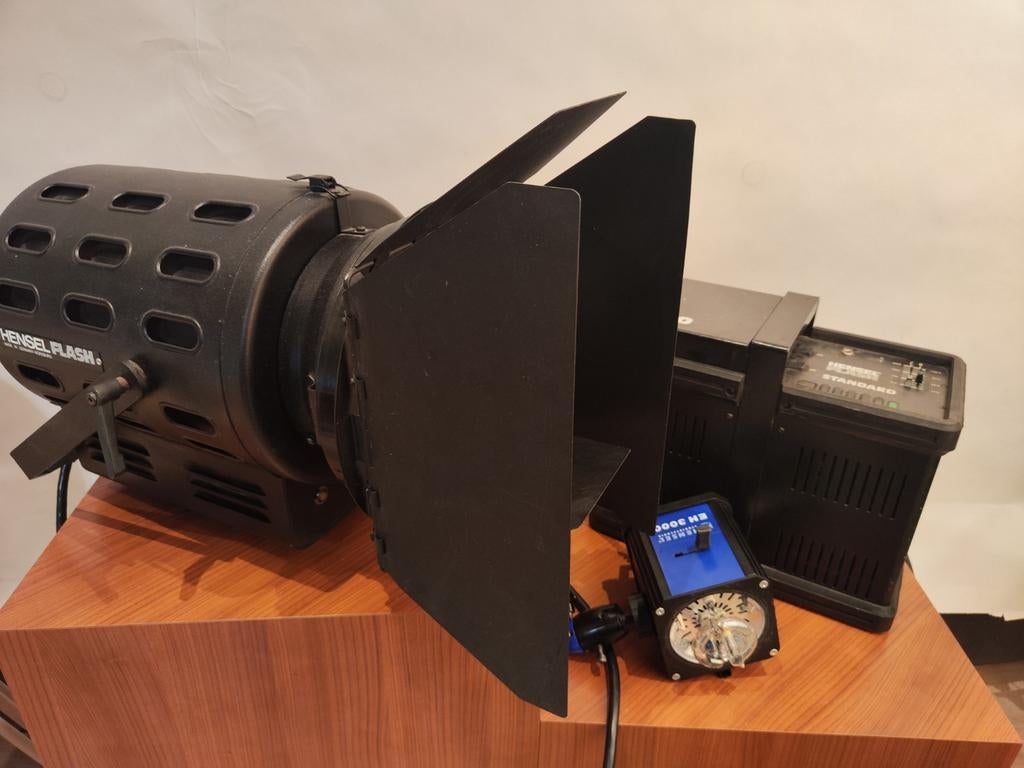 Hensel Studio Flash Flits set 3000 - EH3000 - Fresnel 3500, Audio, Tv en Foto, Fotografie | Flitsers, Ophalen, Gebruikt, Overige merken