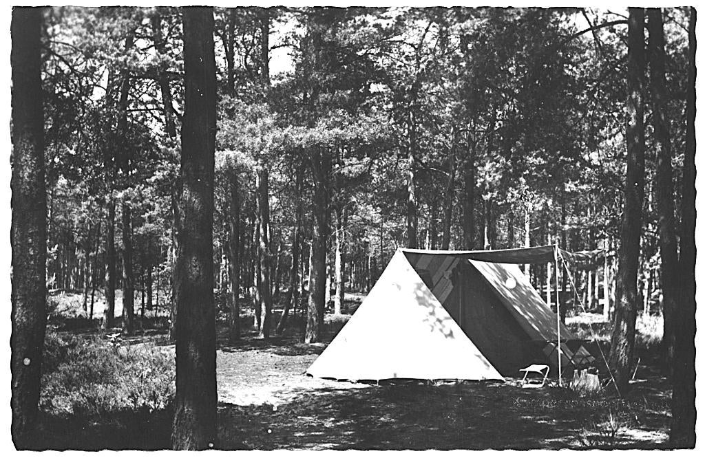 965161 Oisterwijk N Br 1965 Camping de Reebok Onbeschreven