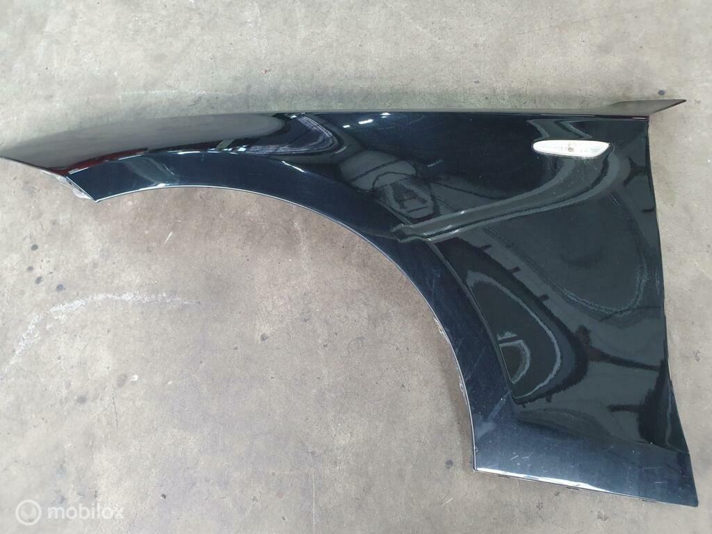 Zijscherm Links 475 metallic BMW 1-serie 41357133227, Ophalen, Gebruikt