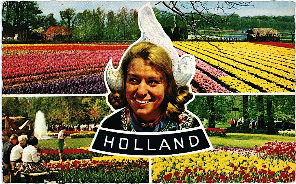 913303 Bloemenvelden klederdracht Gelopen met zegel, Ophalen of Verzenden, 1980 tot heden, Gelopen, Noord-Holland