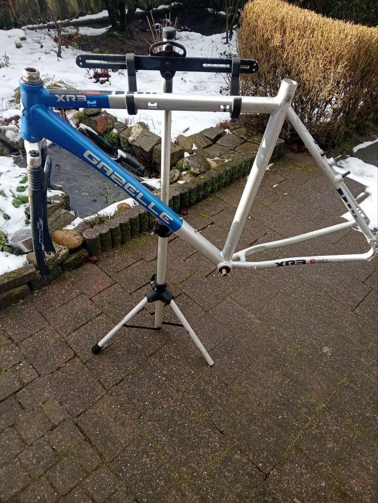 Gazelle XR3 Frame, Ophalen, Gebruikt, Gazelle