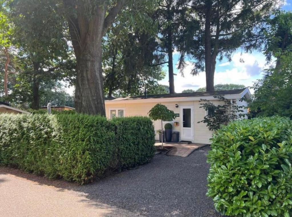 Vakantiehuisje op de Veluwe, 5 personen, In bos, Wasmachine, 2 slaapkamers