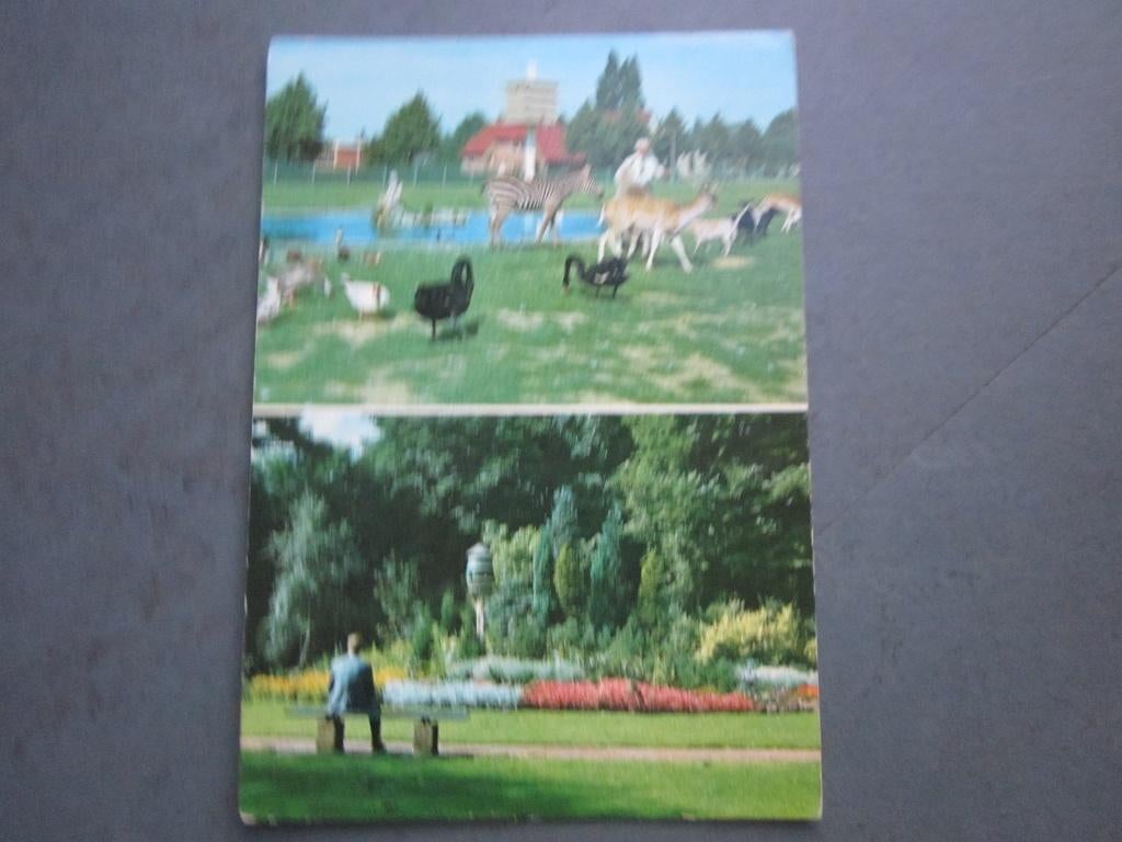 Venray, Huize st. Servatius  dierenpark 1968, Verzenden, 1960 tot 1980, Gelopen, Noord-Brabant