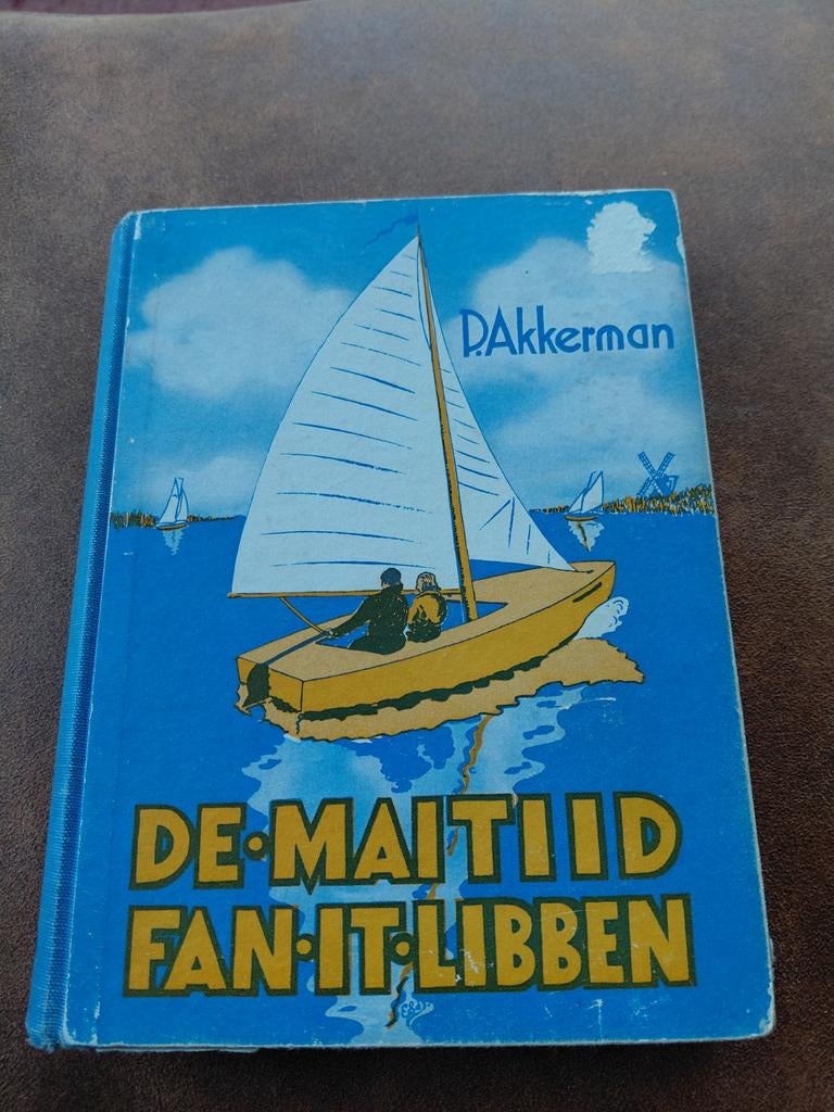 Friese roman uit de jaren '50 - D. Akkerman, Ophalen of Verzenden