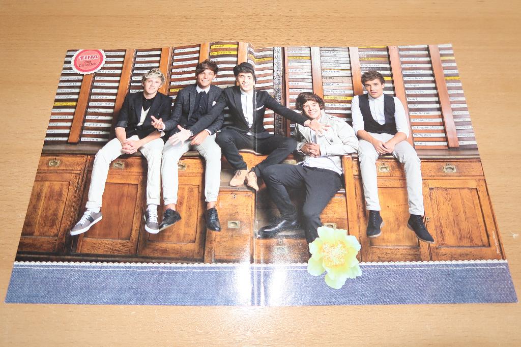 One Direction poster, Verzamelen, Rechthoekig Liggend, Nieuw, Ophalen of Verzenden, A1 t/m A3