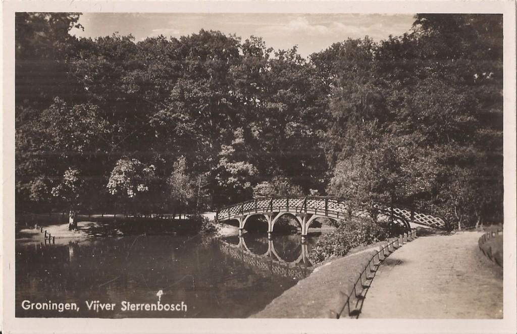 Groningen Vijver Sterrenbosch ca. 1944, Ophalen of Verzenden, 1940 tot 1960, Ongelopen, Groningen