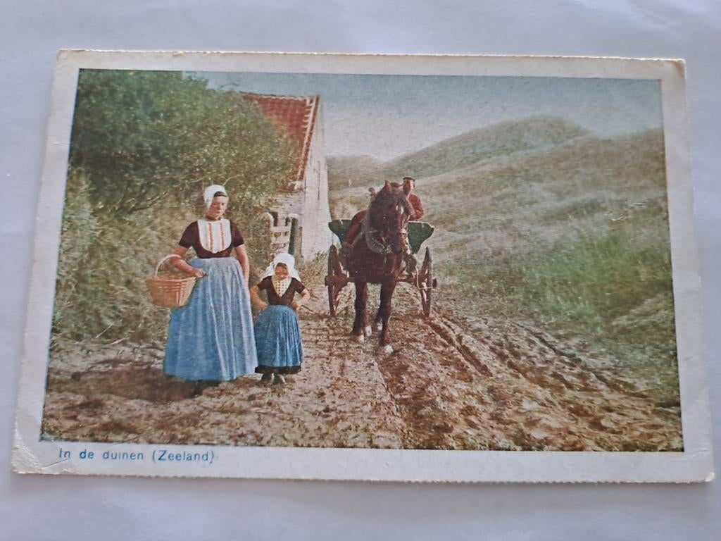 In de duinen,  Zeeland, Ophalen of Verzenden, Zeeland
