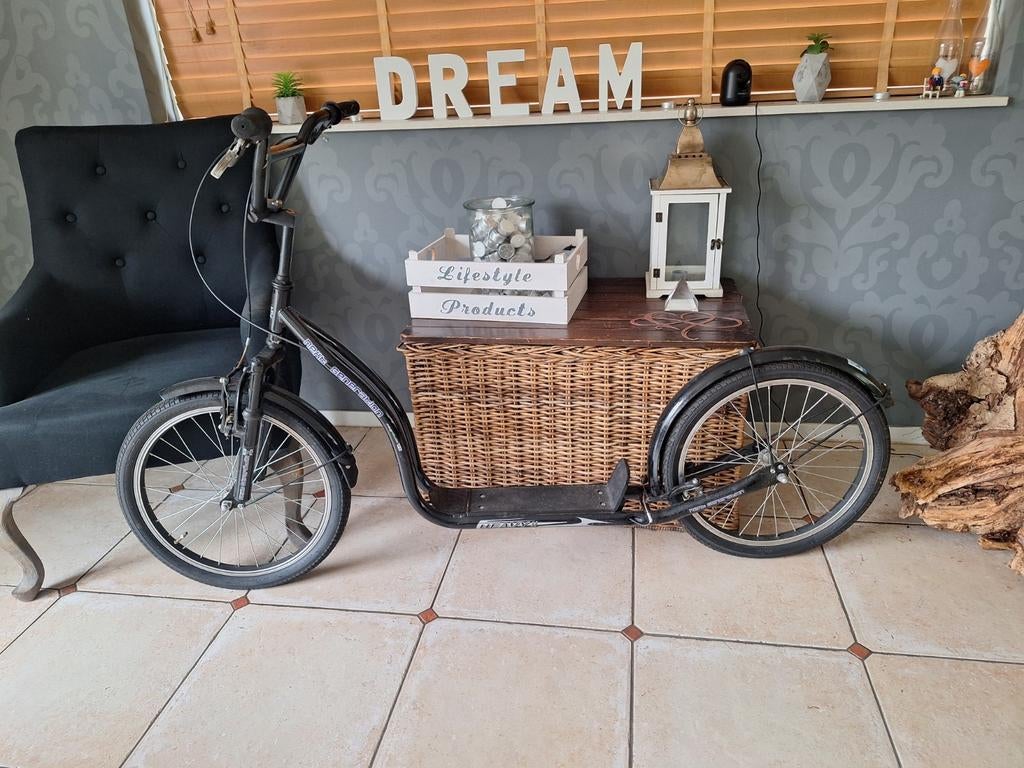 Bike Fun Bike2Go Step / Hondenstep, Fietsen en Brommers, Steps, Ophalen