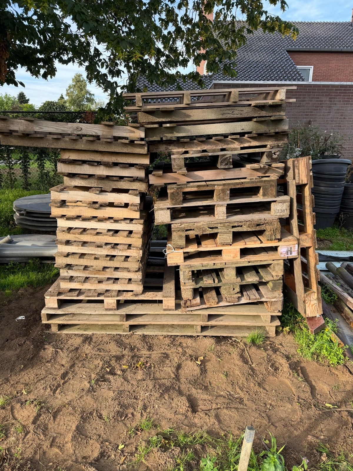 Pallets brandhout, 3 tot 6 m³, Ophalen of Verzenden, Overige houtsoorten, Blokken