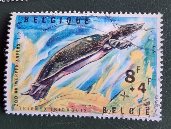 Belg jaar 1965 cob 1348, Postzegels en Munten, Ophalen of Verzenden, Gestempeld, Gestempeld