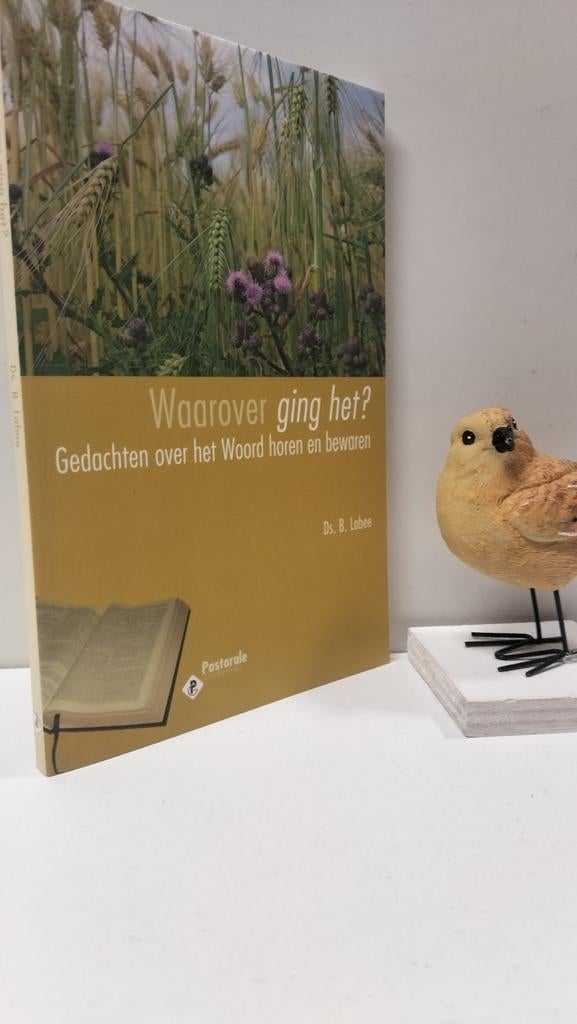 Labee, Ds. B.; Waarover ging het ?, Ophalen of Verzenden, Gelezen, Christendom | Protestants