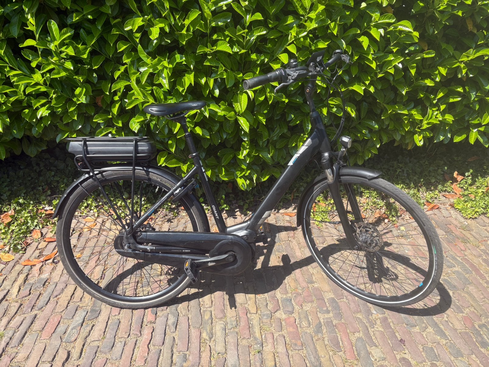 Giant EntourE+ Elektrische Fiets - Beurt Gehad - Middenmotor, Fietsen en Brommers, Ophalen, Giant, Zo goed als nieuw, 51 tot 55 cm