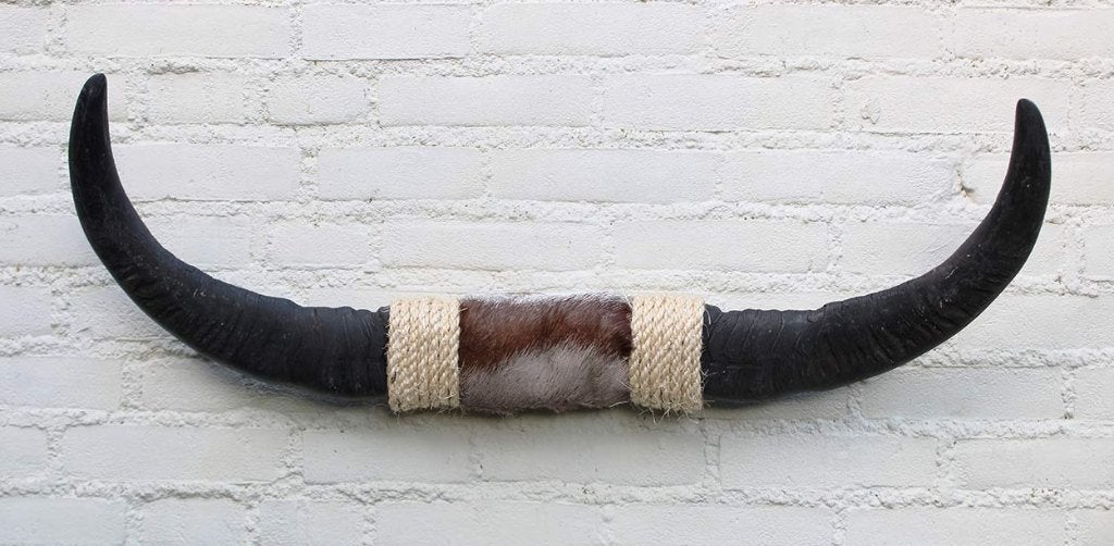 Texas style BULLBAR- 82 cm - waterbuffel hoorns (ref. D), Verzamelen, Dierenverzamelingen, Ophalen of Verzenden, Nieuw, Boerderijdier
