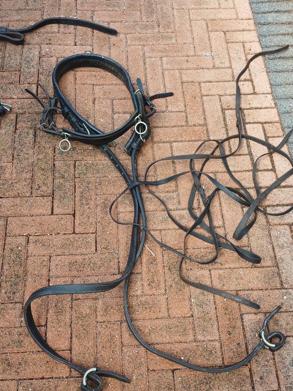 Te koop shetlander mentuigjes, Ophalen, Gebruikt, Shetlander