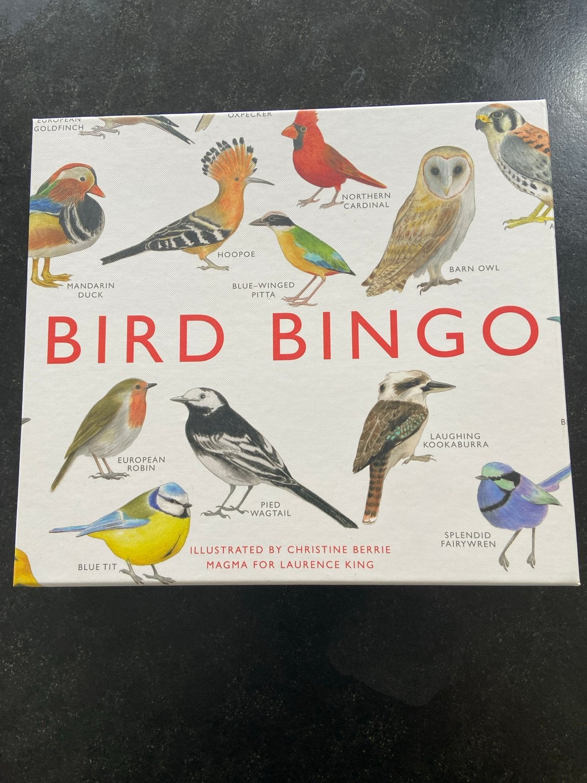 Bird Bingo - Leuk bordspel voor vogelliefhebbers, Ophalen of Verzenden, Zo goed als nieuw