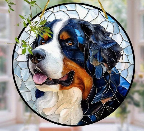 Raamhanger Berner sennen, Verzenden, Nieuw