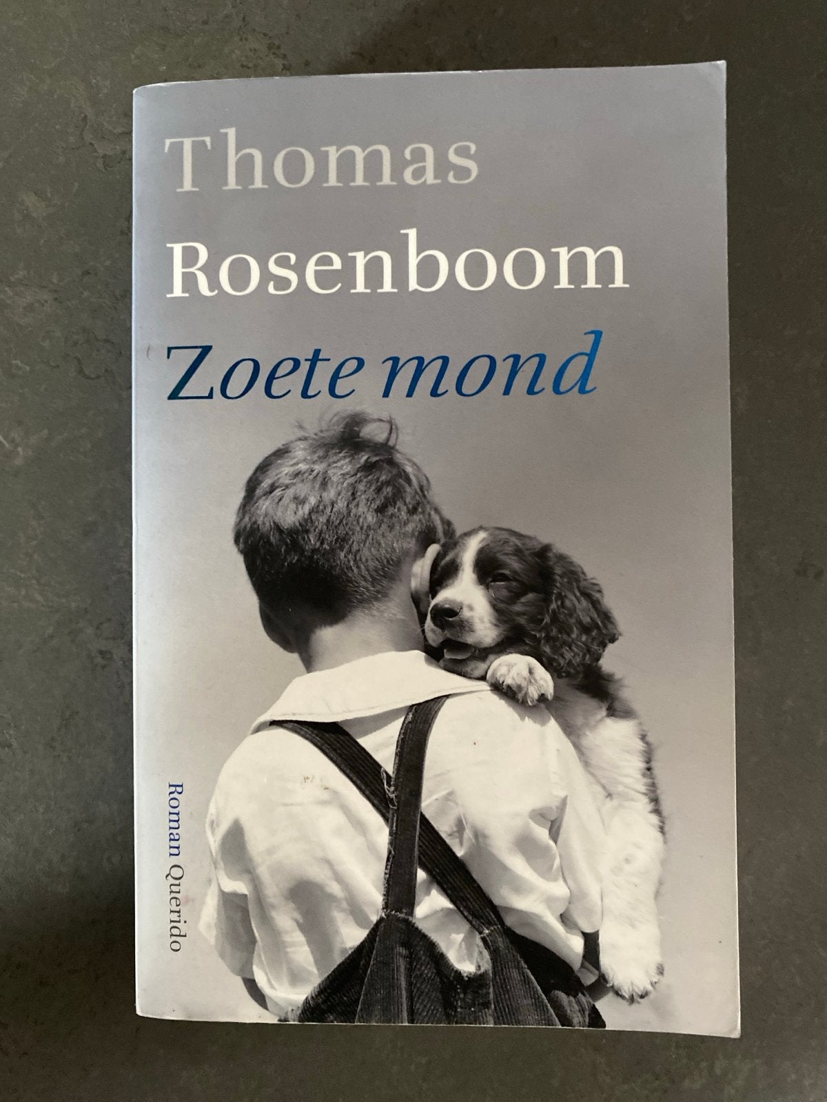 Zoete mond - Thomas Rosenboom (Roman Querido), Boeken, Romans, Ophalen of Verzenden, Zo goed als nieuw, Nederland