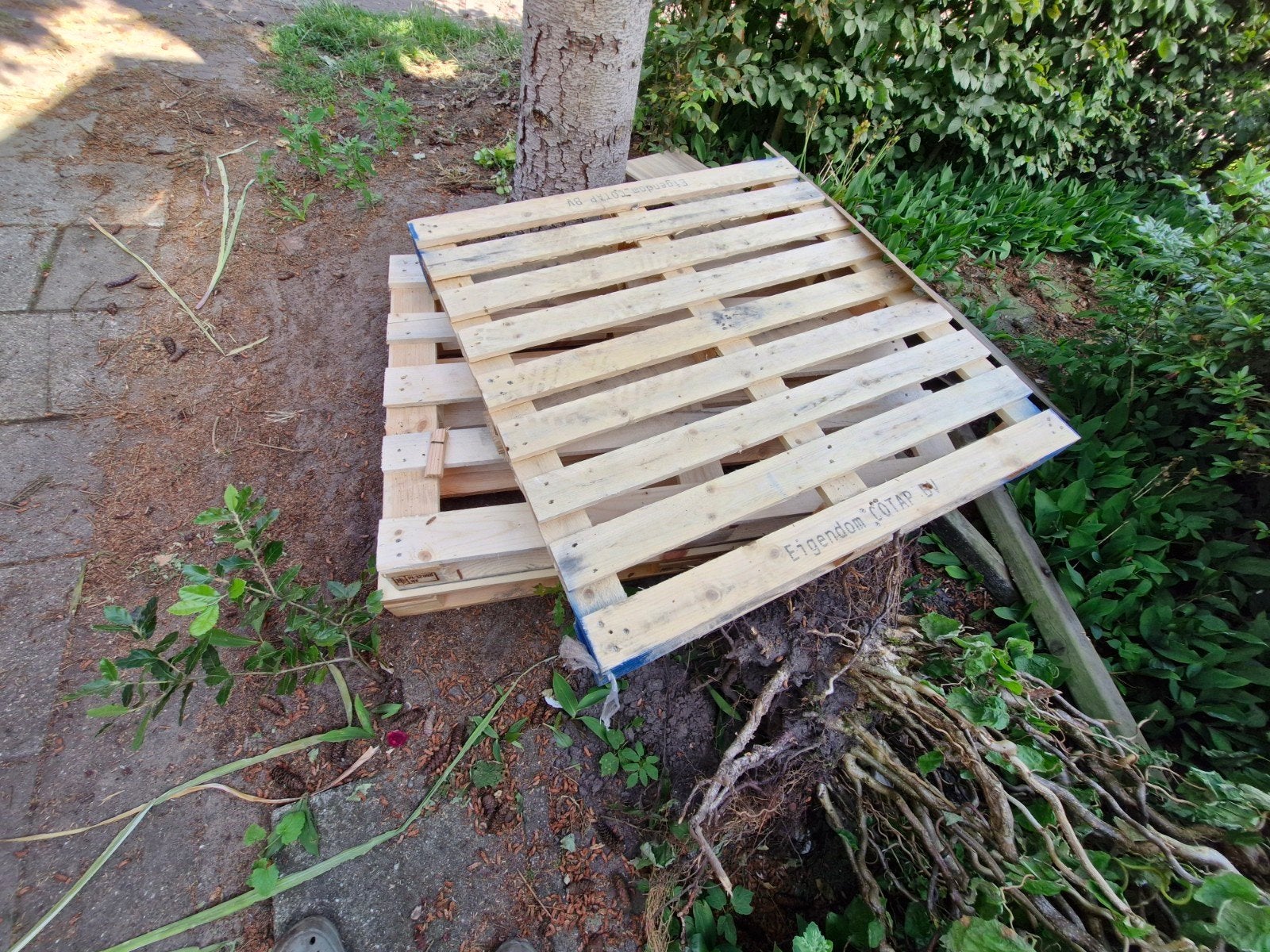 Drie hagelnieuwe pallets 1x1m, Ophalen of Verzenden, 50 mm of meer, Pallet, Minder dan 200 cm