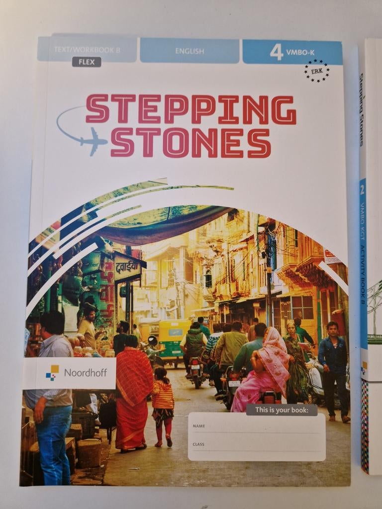 Stepping Stones Engels 4 VMBO-K Text/Workbook B Flex, Boeken, Ophalen of Verzenden, Gelezen, VMBO, Engels