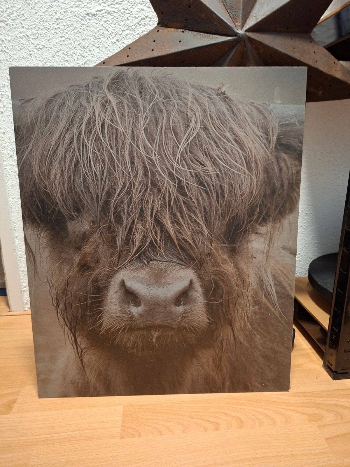Mdf plaat met schotse hooglander, Huis en Inrichting, Woonaccessoires | Schilderijen, Tekeningen en Foto's, Ophalen, Minder dan 50 cm
