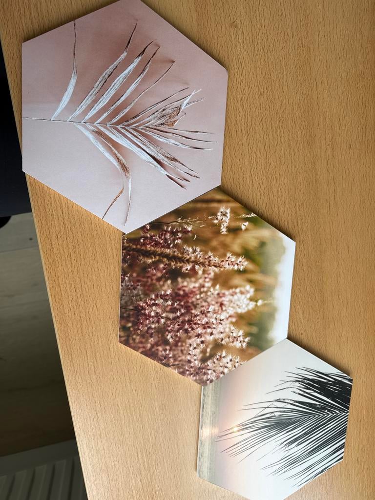 3 Standaard Hexagon Tegels met Natuurprints, Ophalen of Verzenden, Zo goed als nieuw